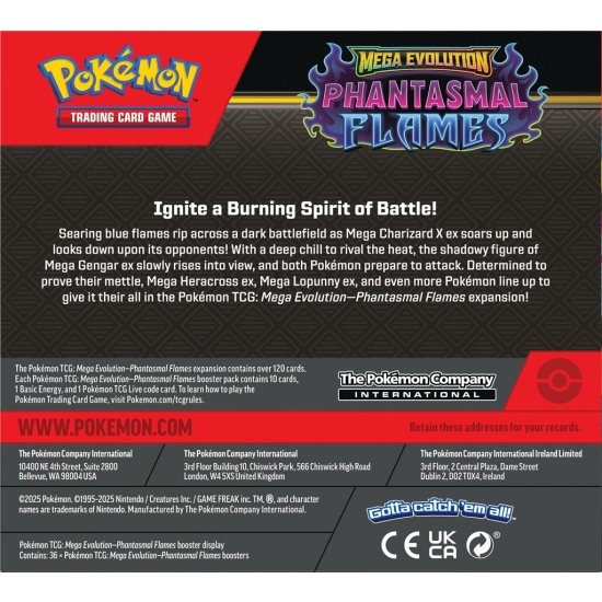 Mega Evolution - Phantasmal Flames - Booster Display